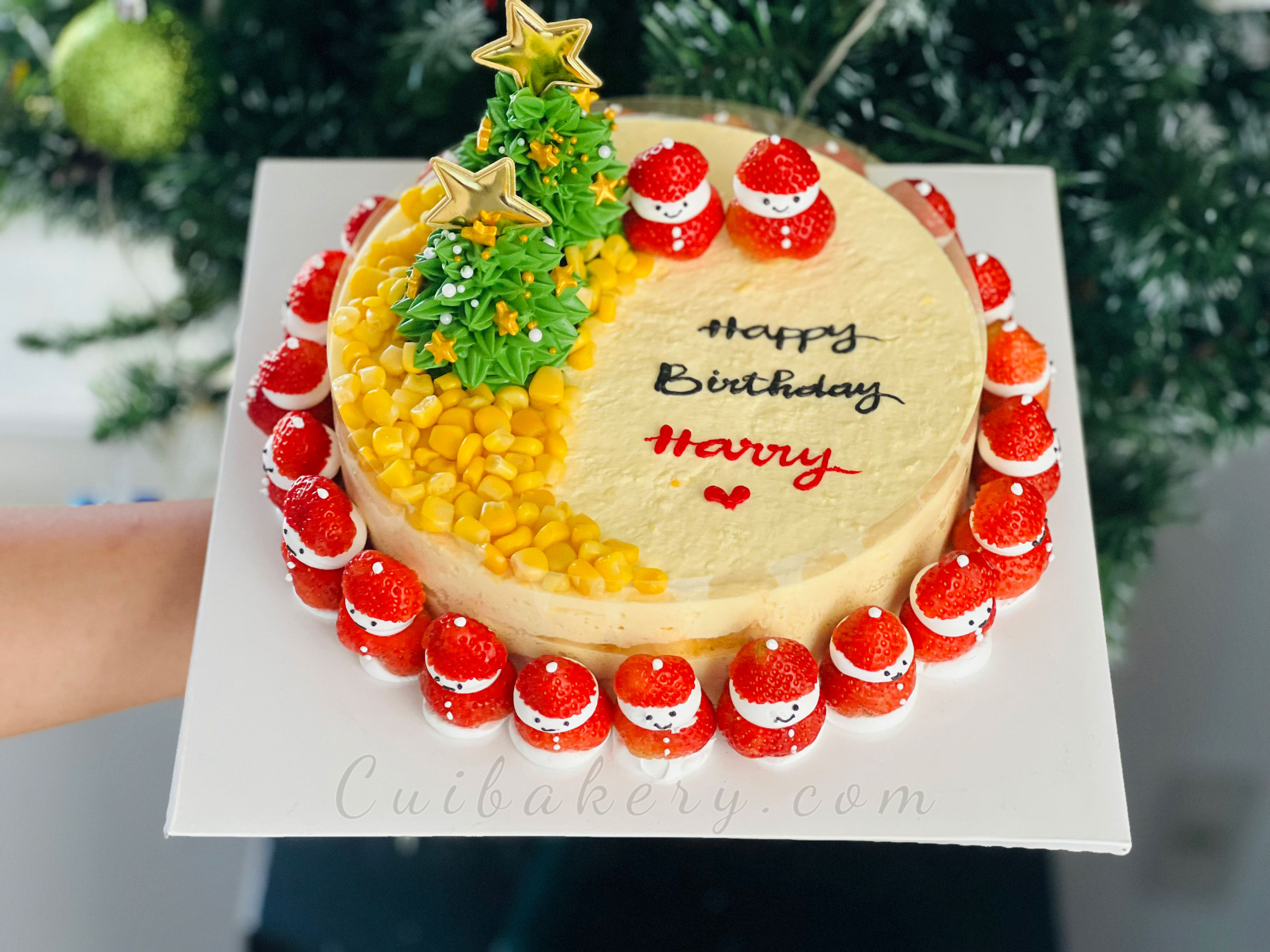 Mẫu Bánh Noel - MNE039